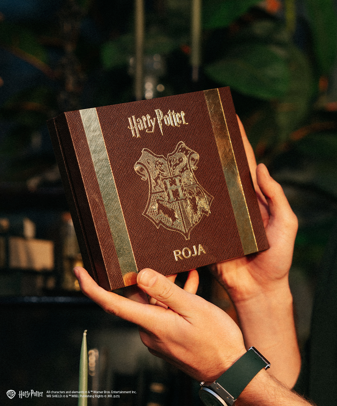 Slytherin Travel Set.jpeg Slytherin Travel Set.jpeg